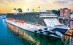 美國週日將派專機接回「鑽石公主號」乘客   返國仍需隔離14天