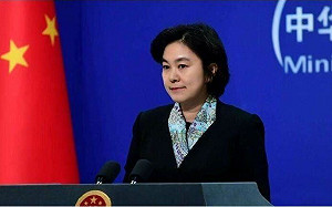 WHO誤植台確診病例 華春瑩反指:有錯恐是台灣「故意」誤報