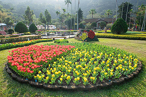 10萬株夢幻繽紛花海!日、荷鬱金香打造士林官邸異國浪漫風