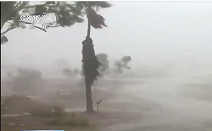 澳洲大雨澆熄2處野火 但洪水將迫數千人離開家園
