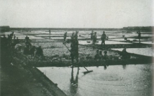 台灣74年前也曾封城  學者揭萬人被隔離等死血淚史