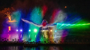 光影水幕的視覺饗宴!碧潭水舞秀情人節起連演59天