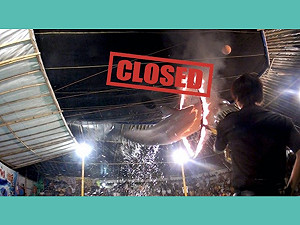 不忍海豚被逼跳火圈塞小箱巡演　印尼讓巡迴馬戲團走入歷史！