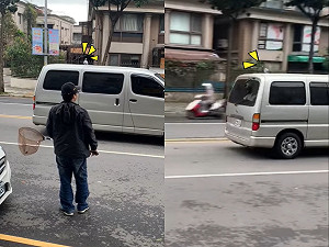 (影)動保員欲捕捉病鴿 下秒見牠囂張搭便車說掰掰:白癡才用飛的咧~