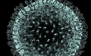 武漢肺炎》BBC:兒童染病少  可能因為先天免疫系統