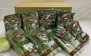 武漢肺炎》桃市農會推有機菜團購 助小農度疫情衝擊