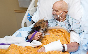 老人住進安寧病房 與愛犬再見一面:「最放心不下你!」