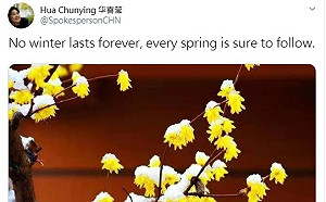 華春瑩害啊!開通推特搞宣傳  中國網友怒:那是什麼