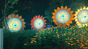 台灣燈會科技燈區「永晝島向陽之丘」  凸顯陽光施政