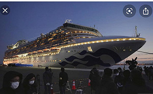 武漢肺炎》鑽石公主號確診達355例  各國將派包機接回國民