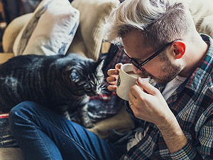 五秒鐘測試法　看你家的貓咪到底喜不喜歡你！