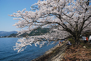 武漢肺炎》旅行團解約能拿回多少?旅遊警示等級越高退越多