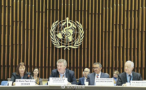 武漢肺炎》世衛專家沒去湖北… 網批：官話、樣板、敘舊