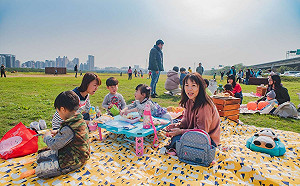 新竹市左岸新亮點！6公頃綠色草原野餐、約會都好玩
