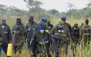 千億蝗蟲肆虐非洲! 烏干達出動2000兵滅300萬蝗蟲