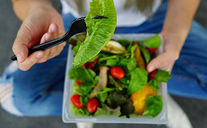 國產的萵苣為何比進口的苦？種植環境影響因素大！