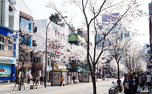 武漢肺炎》南韓再添52例確診！39人與大邱新天地教會有關