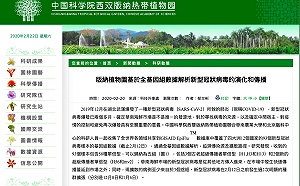 武漢肺炎》武漢華南海鮮市場恐非病毒發源地 去年11月就人傳人