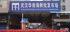 華南海鮮市場被冤枉了？  中國說禍首是.....