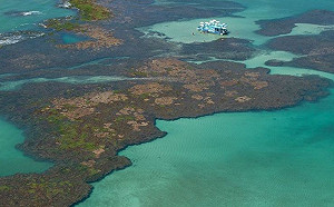 武漢肺炎》南美洲現首例！巴西61歲男子曾前往義大利出差