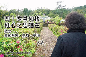 林宅血案40年前夕 陳菊：還原真相 台灣才能走向真正自由民主