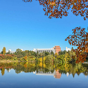 武漢肺炎》韓國單日確診571例  累計2237人