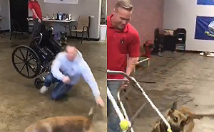 德牧服務犬資格考全部不及格　應試影片曝光網笑翻：該轉行囉～