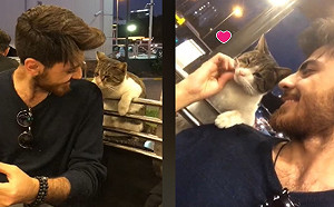 型男在戶外用餐　遇浪貓親密趴杆討食還任人摸摸！