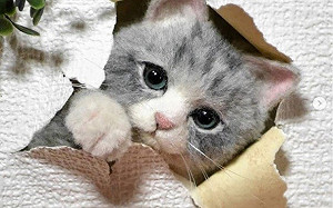 板橋動物之家「鼠不盡的幸福」藝術展3/7登場