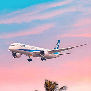 飛航新規上路 7/8起23家日本航空公司「行動電源禁放頭頂置物箱」