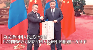 武漢肺炎》又一國！肺炎攻破蒙古國  首都即刻起封城1週