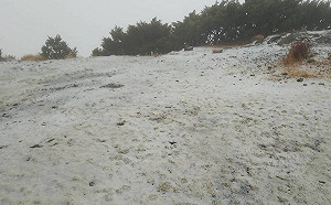 冷氣團發威！玉山降下3月雪山頭染成銀白世界