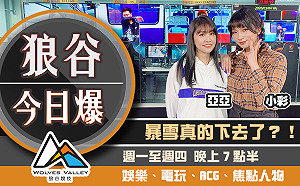 狼谷今日爆》南韓遊戲業在家辦公 暴雪娛樂營收溜滑梯