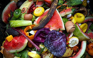 食品回收法減少廢棄物   食物浪費大國日本這樣做