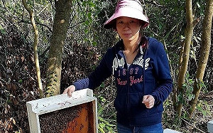 婦女節女力向前衝！新北女青農各闢一片天