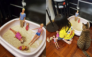 女兒為芭比找到「渡假勝地」玩翻　媽和貓咪都傻眼：那是喵的廁所啊！