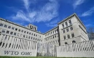 世貿組織員工確診武漢肺炎 會議全面暫停