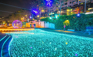 白色情人節好去處！新莊中港大排逛藍色燈海還送玫瑰花