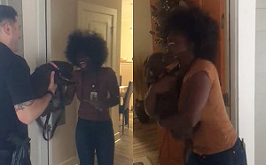 (影)小狗被偷警方幫找回　門一開女子手舞足蹈嗨到直尖叫！