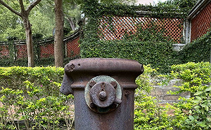 淡古小白宮藏瑰寶 百年古水管頭成現代防疫代言人