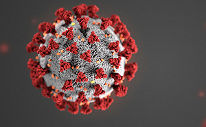 ｢病死也光榮｣英2500人自願把新冠病毒塞進鼻孔 每人可得15萬台幣
