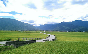 支持在地農產品！台東米銷量成長兩三成 縣府：存量充足不怕你買