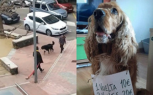 (影)西班牙全面封城但「遛狗除外」　民眾紛紛出奇招上街放風