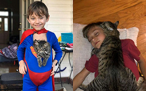 全世界我最喜歡你！貓咪一抱著最愛小主人就會秒入睡