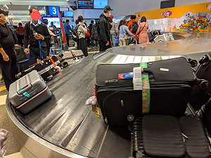 武漢肺炎》防病毒趁隙入侵！返台旅客行李一律機場消毒