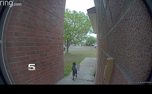 門口包裹老失蹤　女孩調監視器發現「毛毛小偷」早已預謀犯案！