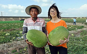 武漢肺炎》嘉市旅館公會買4萬元西瓜 送醫護慰勉辛勞