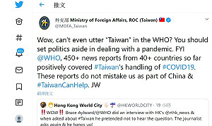 吳釗燮酸WHO顧問：哇！連台灣兩字都不敢說出