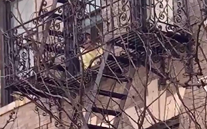 武漢肺炎》紐約男學義大利陽台高歌解悶 路人怒吼「閉嘴」