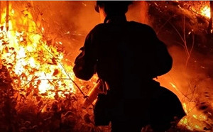 防森林大火竟出天外奇招 四川竟連買這個都搞實名制....